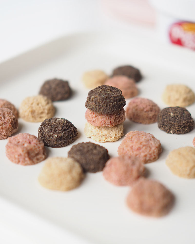 Scoopy Doo 💗 Chicken/Pork - 18pcs / ~20g