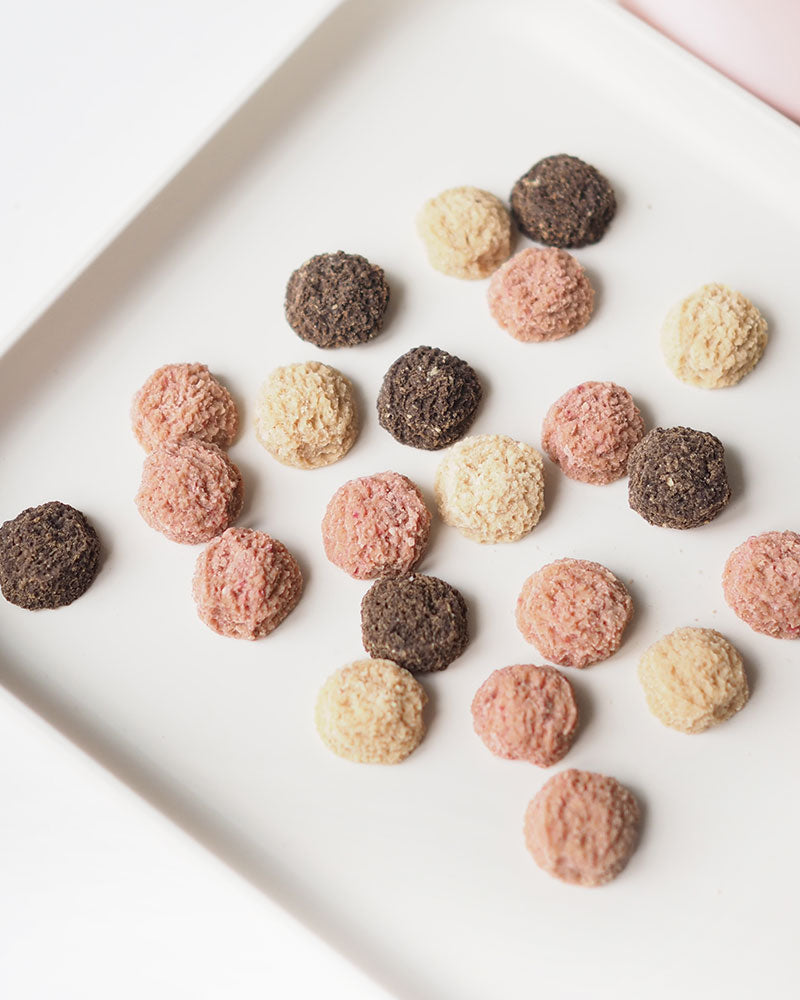 Scoopy Doo 💗 Chicken/Pork - 18pcs / ~20g