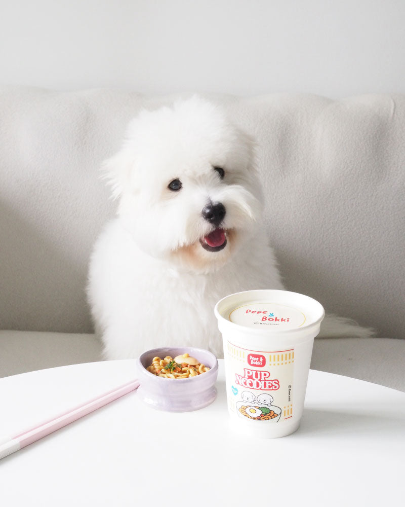 Pup Noodles 💗 Chicken - 5pcs / ~50g