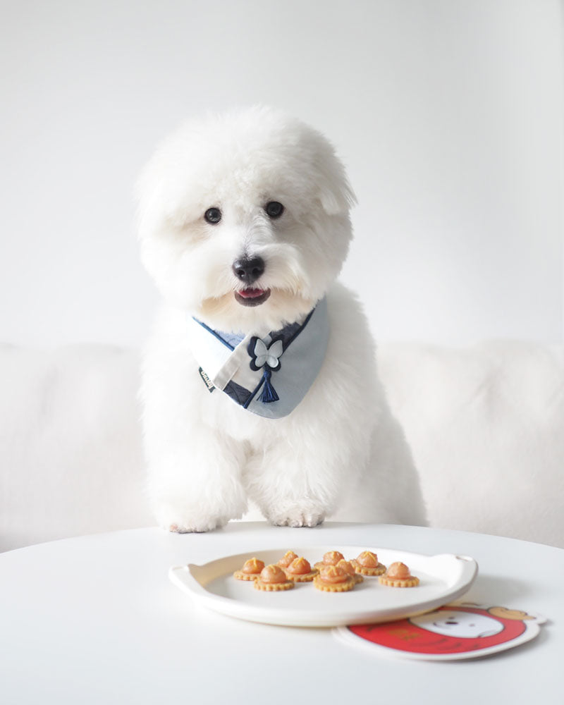 ✨ 旺来进宝 🍍 Chicken/Pork Pineapple Tarts - 12pcs / ~95g